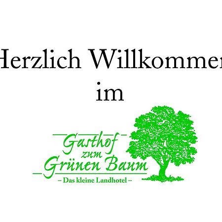 Landhotel Gruener Baum Westendorf  Kültér fotó